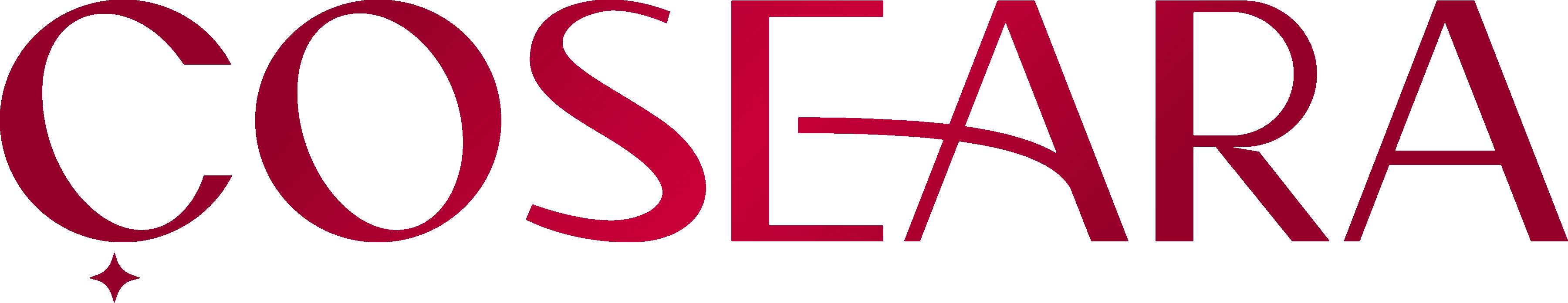 Website Logo